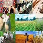 جزئیات تسهیلات اشتغالزایی روستایی/۳۶ درصد دریافت کنندگان تسهیلات اشتغال روستایی بیمه شدند