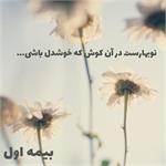 تیزر اختصاصی بیمه اول به مناسبت تبریک سال نو